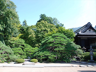 田中本家